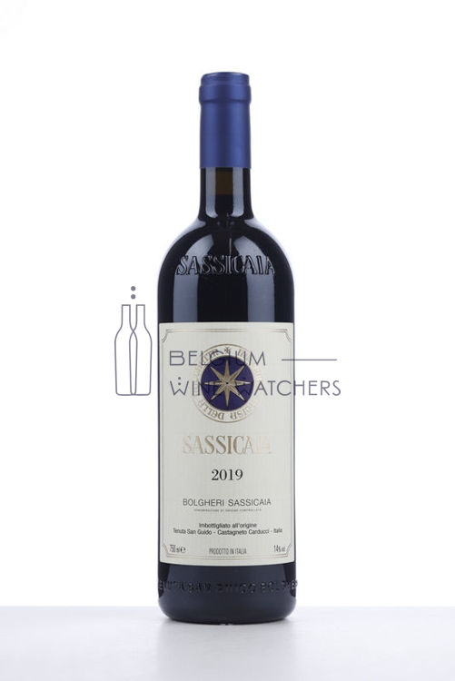 Picture of 2019 SASSICAIA